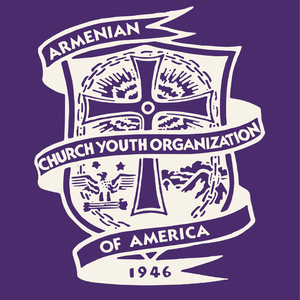 Team Page: ACYOA Seniors